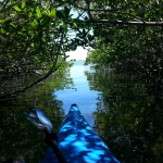 clear kayak tours florida keys